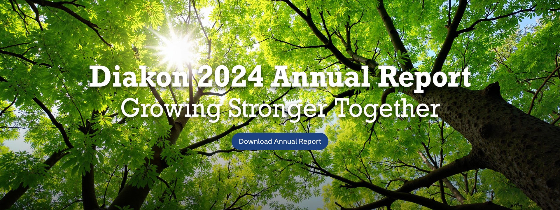 Diakon 2024 Annual Report
